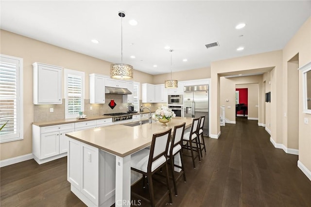 kitchen with visible vents, stainless steel appliances, a sink, under cabinet range hood, and white cabinetry