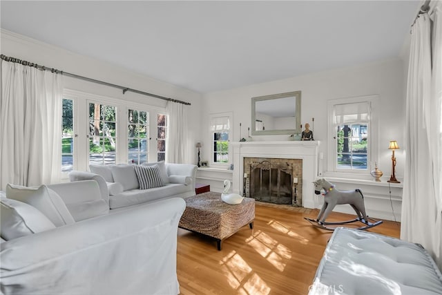 living area with a fireplace with flush hearth and light wood-type flooring