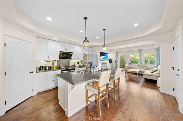 kitchen with a tray ceiling, open floor plan, appliances with stainless steel finishes, and dark wood finished floors