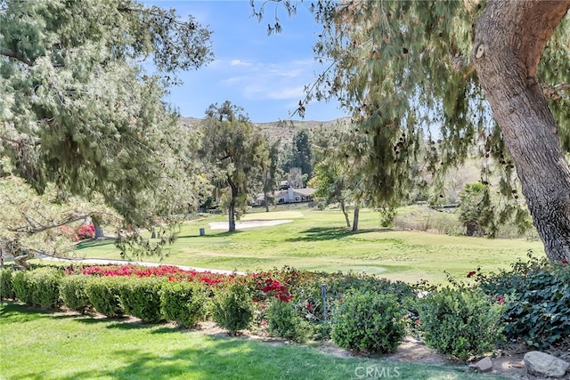 view of home's community featuring a lawn