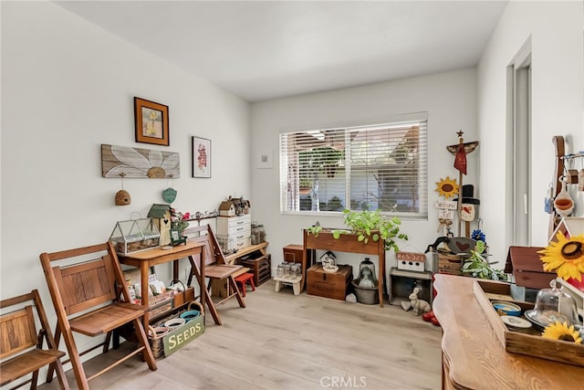 living area with light wood finished floors