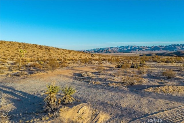 Listing photo 3 for 3025 Flamingo Ave, Joshua Tree CA 92252