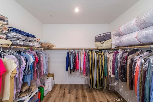 walk in closet featuring wood finished floors