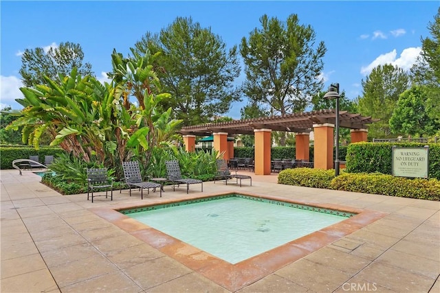 view of pool featuring a patio and a pergola