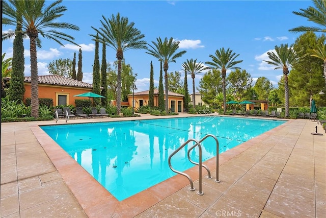 pool featuring a patio