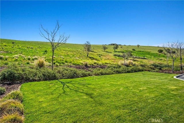 view of yard featuring a rural view