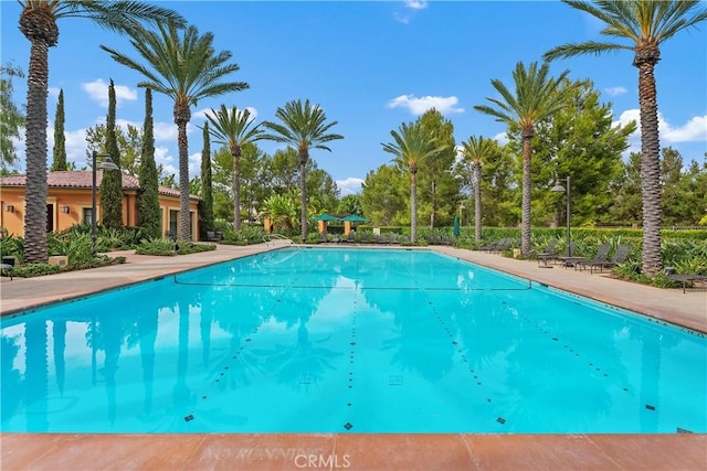 view of community pool