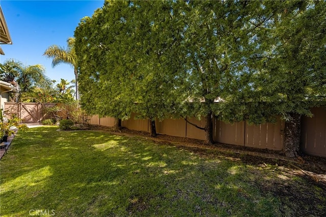 view of yard featuring a fenced backyard