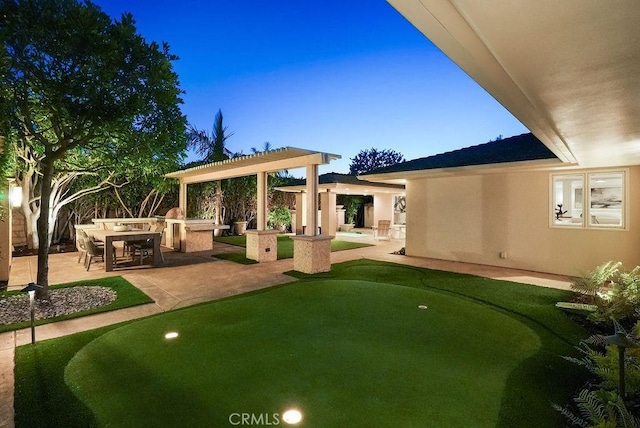 view of yard featuring a patio and an outdoor kitchen