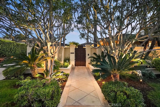 view of front facade featuring a gate and stucco siding