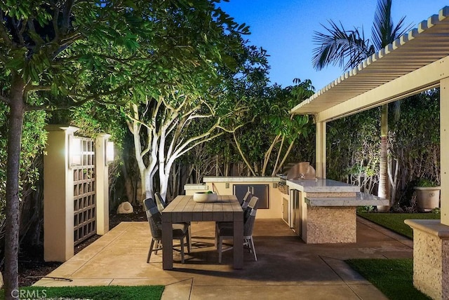 view of patio / terrace with outdoor dining area and exterior kitchen