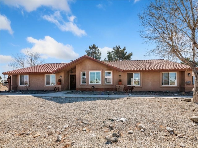 view of front of home featuring a tiled roof and stucco siding