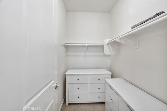 spacious closet with light carpet