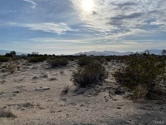 Listing photo 2 for 0 Rose, Lucerne Valley CA 92356