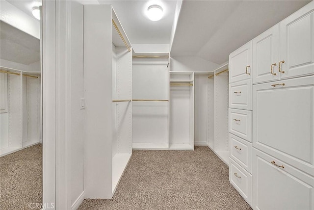 spacious closet featuring carpet and vaulted ceiling