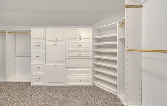 spacious closet featuring carpet flooring