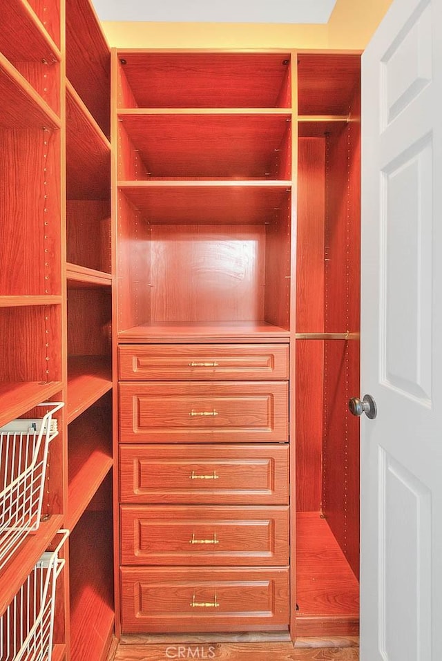 view of walk in closet