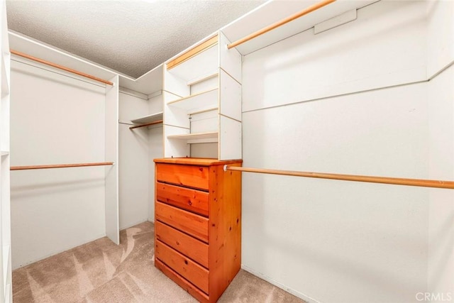 spacious closet with light carpet