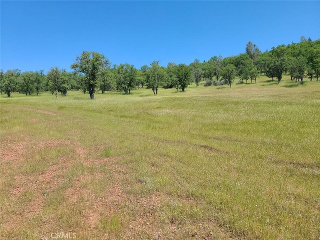 0RD Hazen, Manton CA, 96059 land for sale