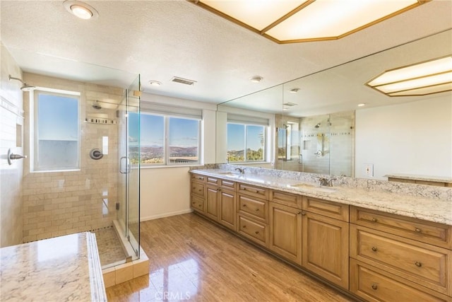 full bathroom featuring a sink, visible vents, and a shower stall