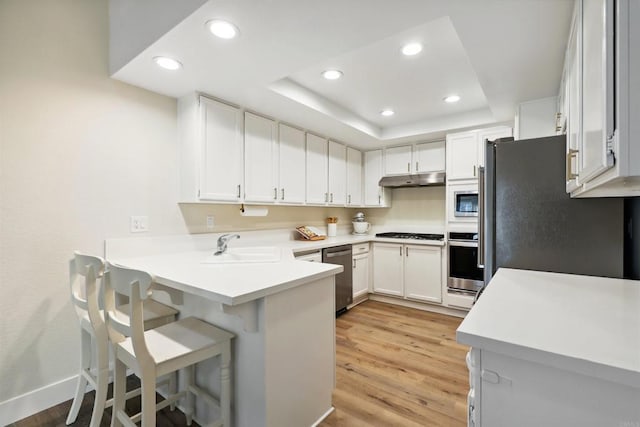 kitchen with under cabinet range hood, recessed lighting, appliances with stainless steel finishes, a peninsula, and a raised ceiling