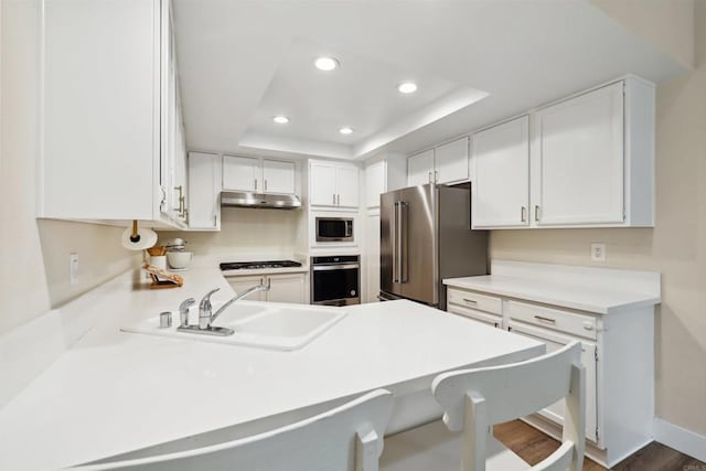 kitchen with a sink, a tray ceiling, recessed lighting, and stainless steel appliances