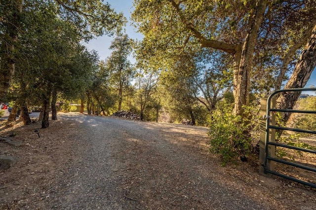 view of road featuring a gated entry, driveway, and a gate