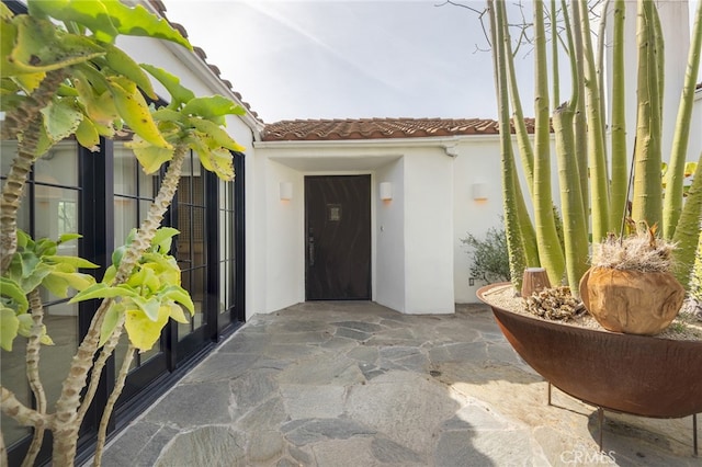 entrance to property featuring stucco siding, a tiled roof, and a patio