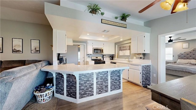 kitchen with a sink, a tray ceiling, open floor plan, and stainless steel appliances