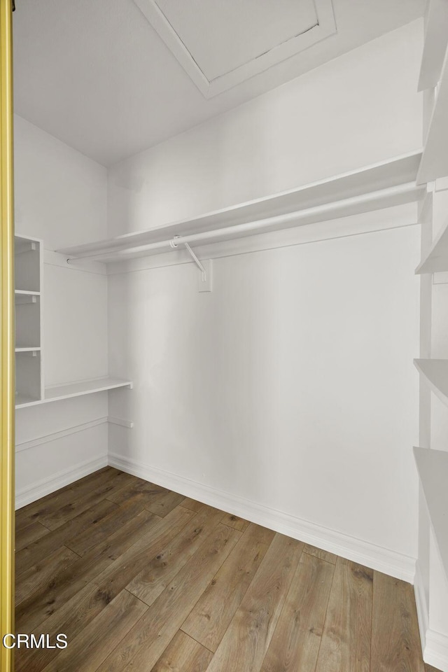 walk in closet featuring wood-type flooring