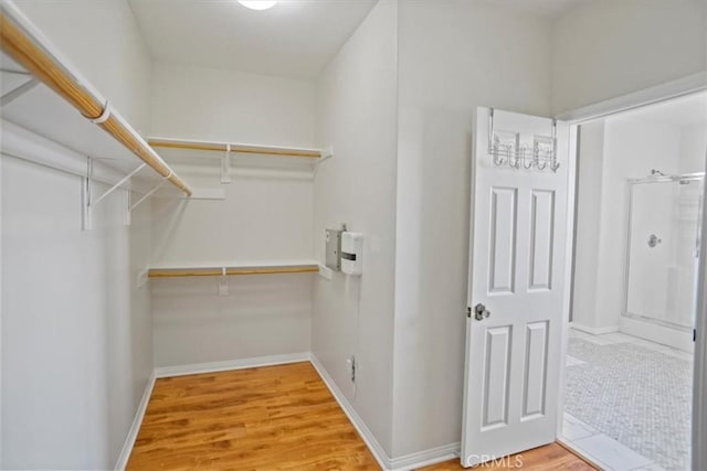 spacious closet with light wood finished floors