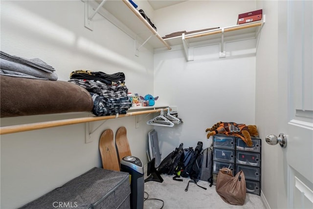 spacious closet featuring carpet flooring