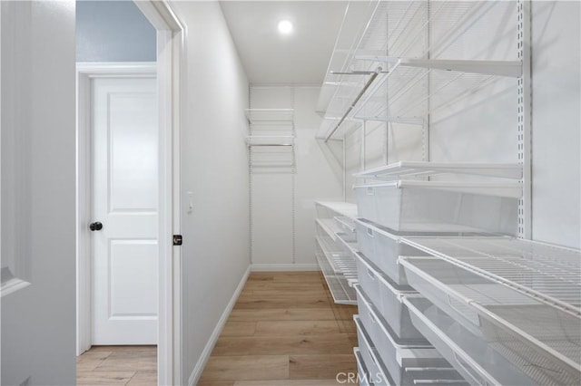 spacious closet featuring light wood-style flooring