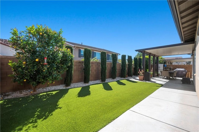 view of yard with a patio and a fenced backyard