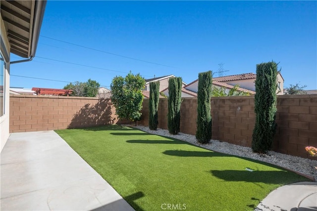 view of yard featuring a patio and a fenced backyard