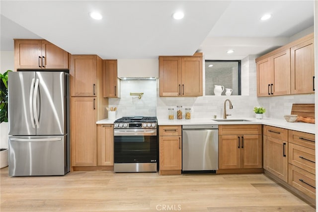 kitchen with light countertops, decorative backsplash, light wood-style flooring, appliances with stainless steel finishes, and a sink