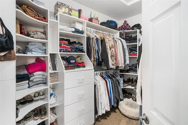 spacious closet featuring carpet floors