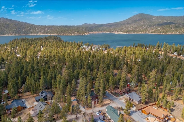 aerial view featuring a view of trees and a water and mountain view