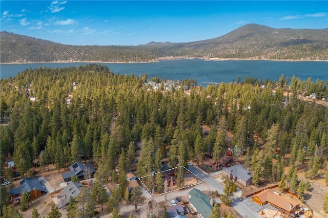 aerial view featuring a forest view and a water and mountain view