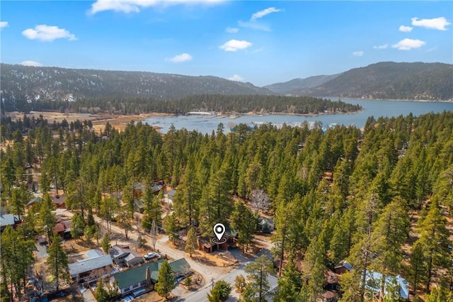 birds eye view of property featuring a view of trees and a water and mountain view