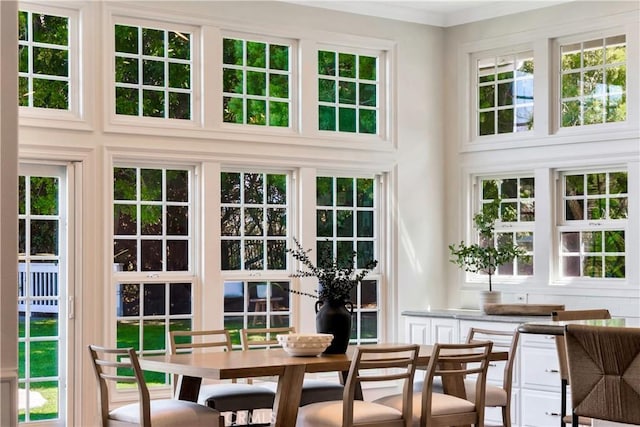 sunroom / solarium with a healthy amount of sunlight