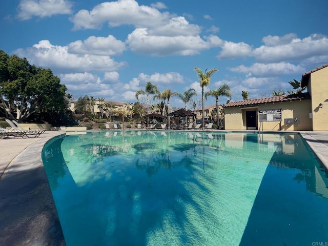 view of community pool