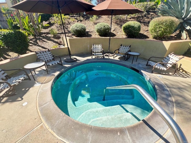 view of pool with a patio