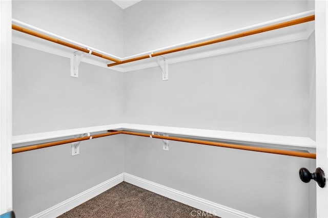 spacious closet with dark colored carpet