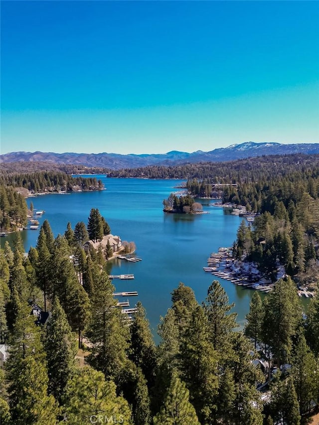 water view featuring a mountain view and a wooded view