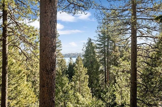 view of landscape with a wooded view