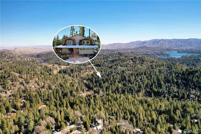 26509 Lake Forest Dr, Twin Peaks, CA 92391 - bird's eye view featuring a mountain view and a forest view