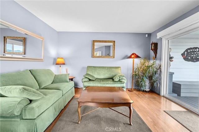 living area featuring wood finished floors