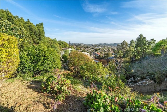 view of local wilderness