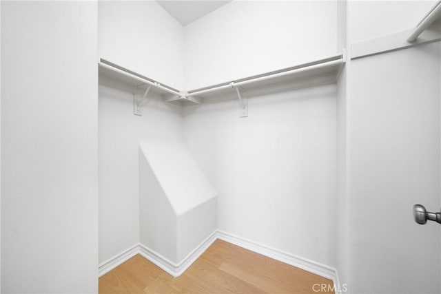 spacious closet featuring light wood-type flooring